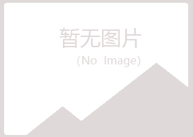 桃山区傲晴会计有限公司